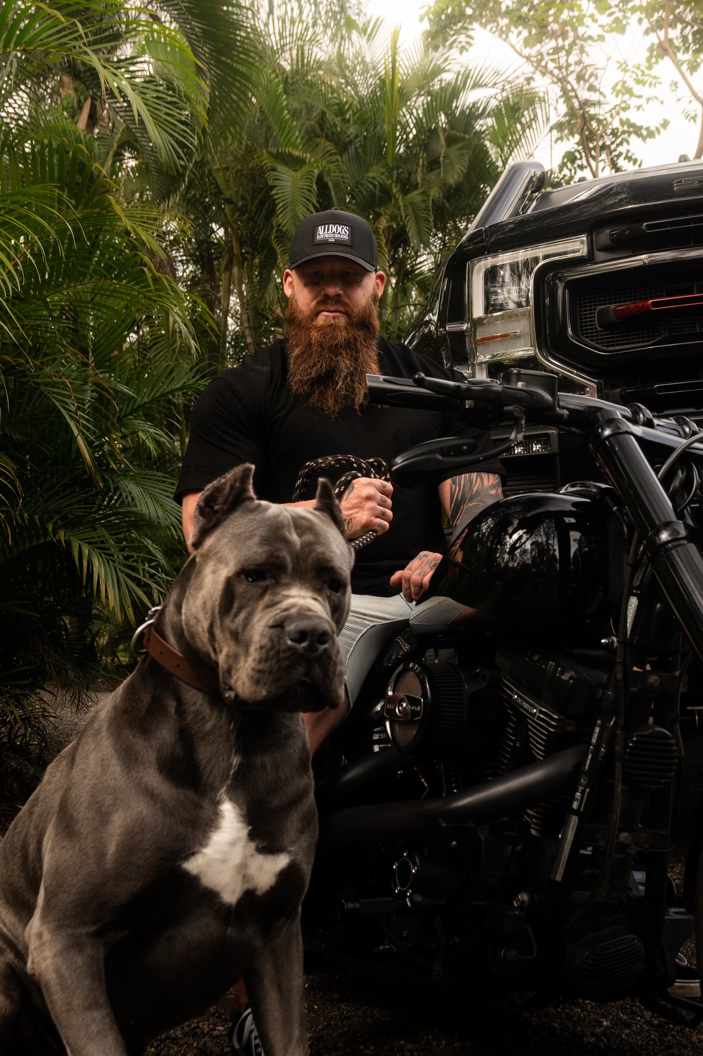 Alldogs Elite Cap - Water Resistant