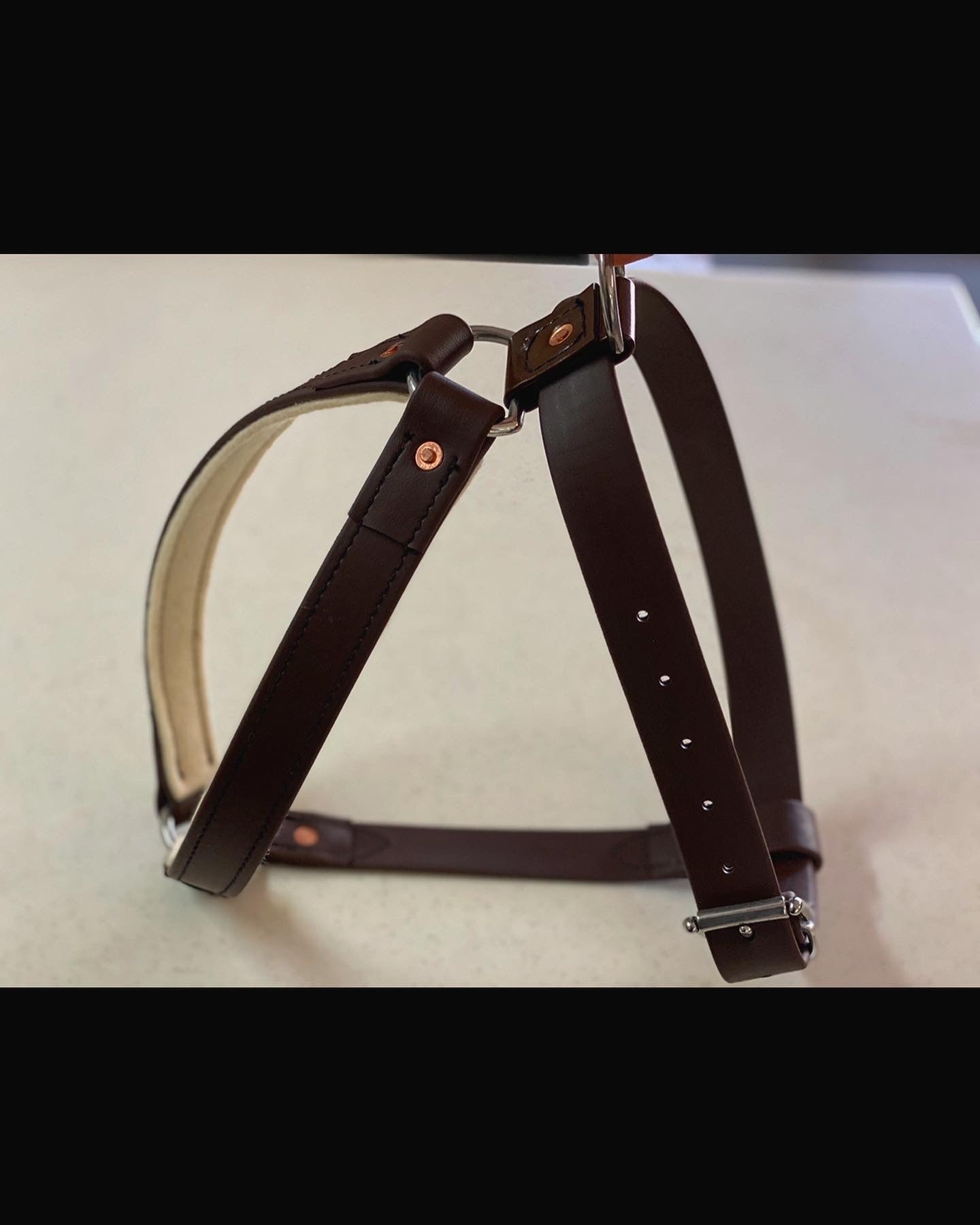 Premium Working Dog Harness